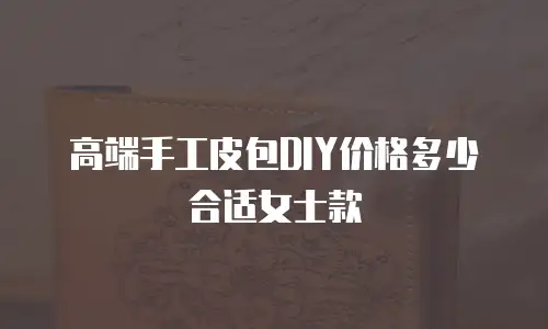 高端手工皮包DIY价格多少合适女士款
