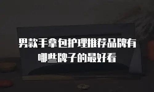 男款手拿包护理推荐品牌有哪些牌子的最好看