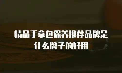 精品手拿包保养推荐品牌是什么牌子的好用