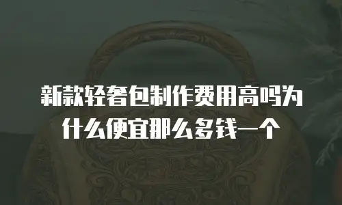 新款轻奢包制作费用高吗为什么便宜那么多钱一个
