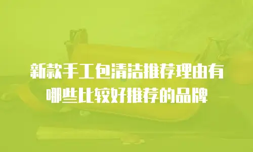 新款手工包清洁推荐理由有哪些比较好推荐的品牌