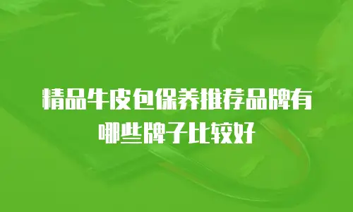 精品牛皮包保养推荐品牌有哪些牌子比较好