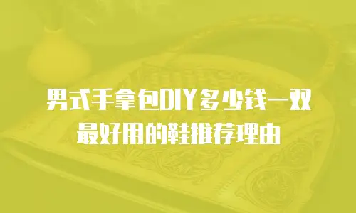 男式手拿包DIY多少钱一双最好用的鞋推荐理由