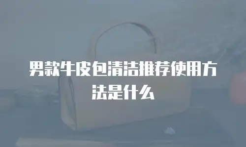 男款牛皮包清洁推荐使用方法是什么