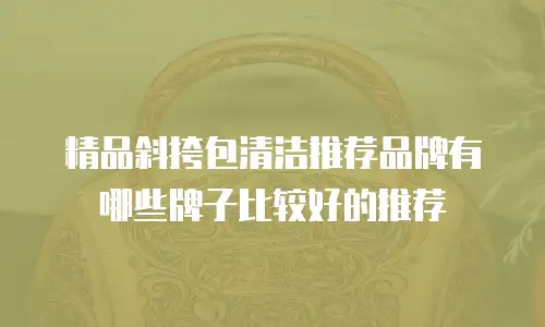 精品斜挎包清洁推荐品牌有哪些牌子比较好的推荐