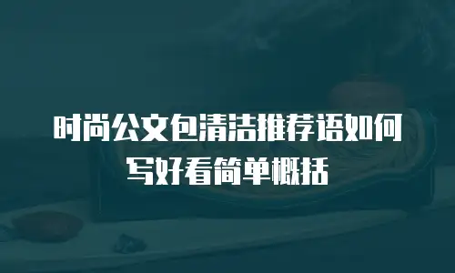 时尚公文包清洁推荐语如何写好看简单概括