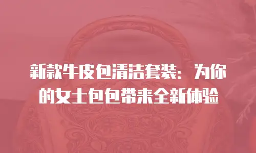 新款牛皮包清洁套装：为你的女士包包带来全新体验