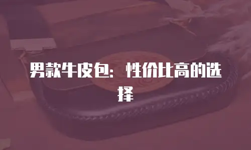 男款牛皮包：性价比高的选择