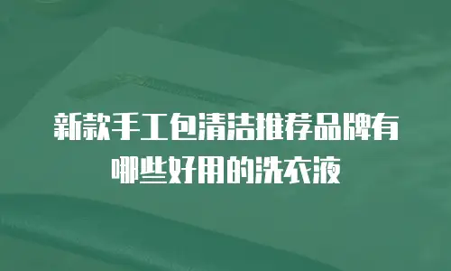 新款手工包清洁推荐品牌有哪些好用的洗衣液