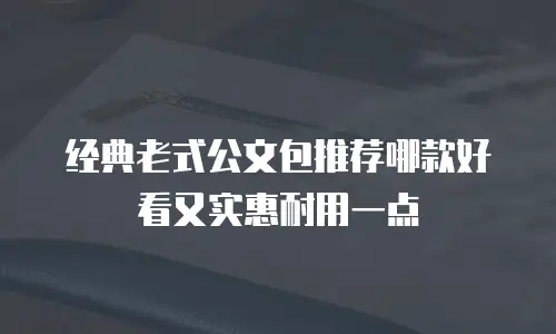经典老式公文包推荐哪款好看又实惠耐用一点