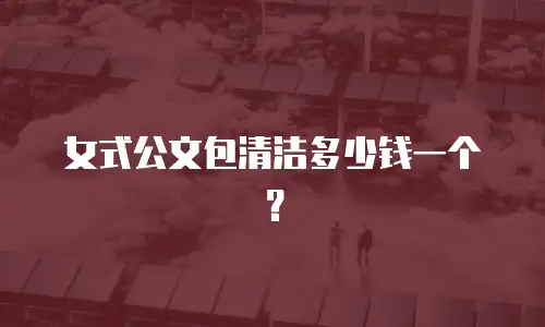 女式公文包清洁多少钱一个？