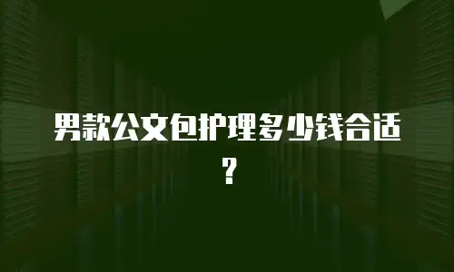 男款公文包护理多少钱合适？