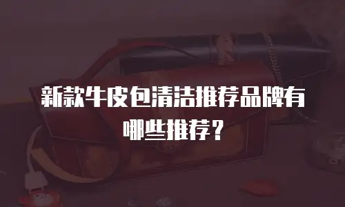 新款牛皮包清洁推荐品牌有哪些推荐？
