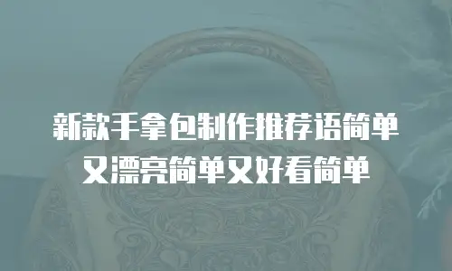新款手拿包制作推荐语简单又漂亮简单又好看简单