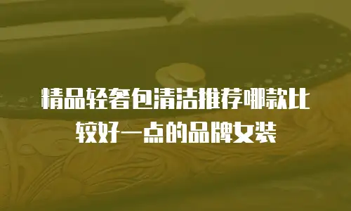 精品轻奢包清洁推荐哪款比较好一点的品牌女装