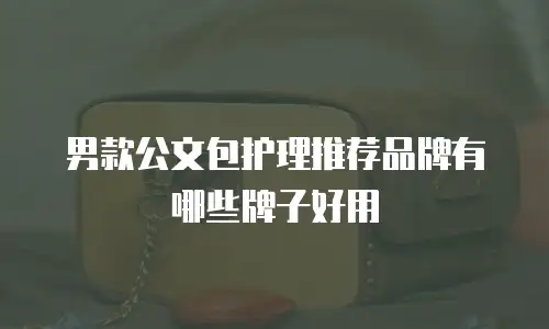 男款公文包护理推荐品牌有哪些牌子好用