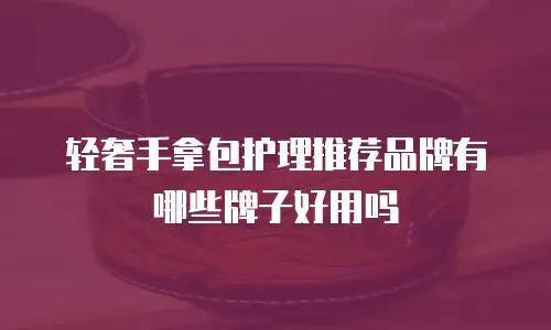 轻奢手拿包护理推荐品牌有哪些牌子好用吗