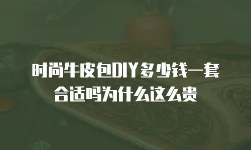 时尚牛皮包DIY多少钱一套合适吗为什么这么贵