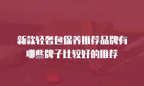 新款轻奢包保养推荐品牌有哪些牌子比较好的推荐