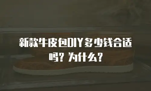 新款牛皮包DIY多少钱合适吗？为什么？