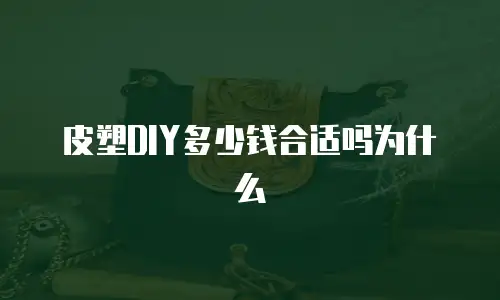 皮塑DIY多少钱合适吗为什么