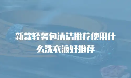 新款轻奢包清洁推荐使用什么洗衣液好推荐