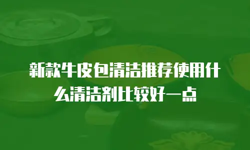 新款牛皮包清洁推荐使用什么清洁剂比较好一点