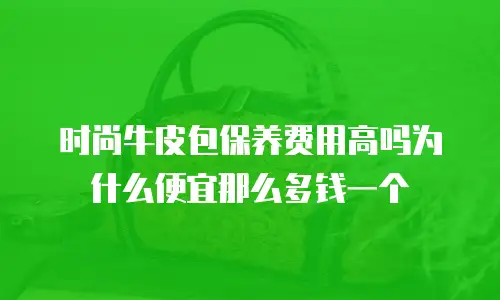 时尚牛皮包保养费用高吗为什么便宜那么多钱一个