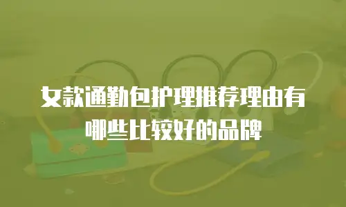 女款通勤包护理推荐理由有哪些比较好的品牌