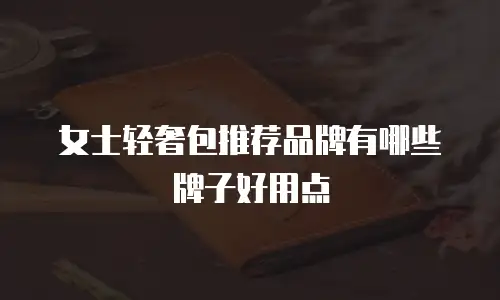 女士轻奢包推荐品牌有哪些牌子好用点