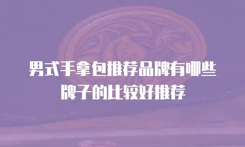 男式手拿包推荐品牌有哪些牌子的比较好推荐