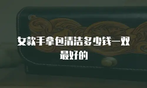 女款手拿包清洁多少钱一双最好的