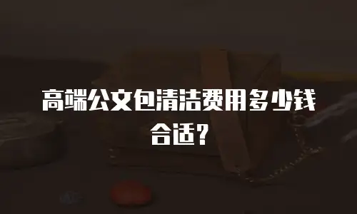 高端公文包清洁费用多少钱合适？