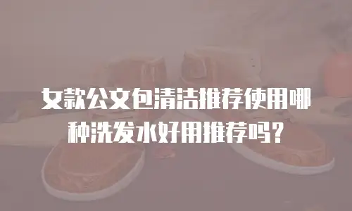 女款公文包清洁推荐使用哪种洗发水好用推荐吗？