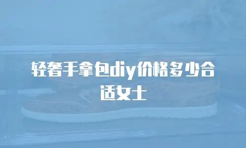 轻奢手拿包diy价格多少合适女士