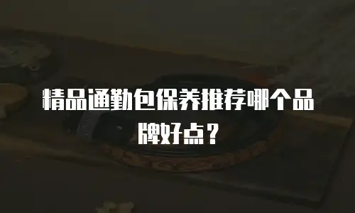 精品通勤包保养推荐哪个品牌好点？