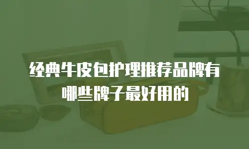经典牛皮包护理推荐品牌有哪些牌子最好用的