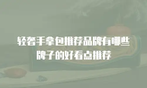 轻奢手拿包推荐品牌有哪些牌子的好看点推荐