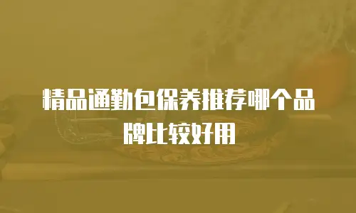 精品通勤包保养推荐哪个品牌比较好用