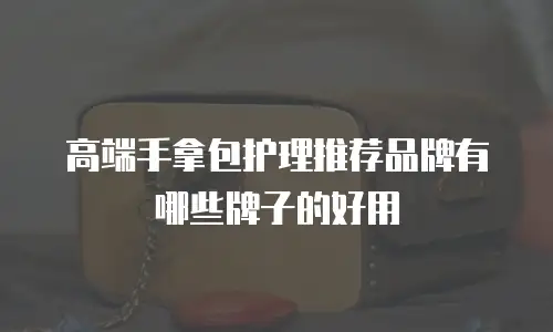 高端手拿包护理推荐品牌有哪些牌子的好用