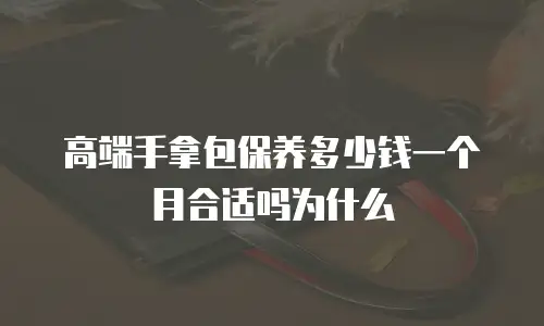 高端手拿包保养多少钱一个月合适吗为什么