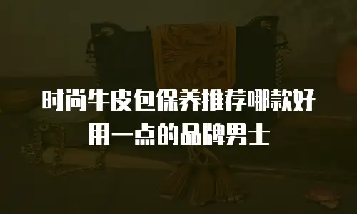 时尚牛皮包保养推荐哪款好用一点的品牌男士
