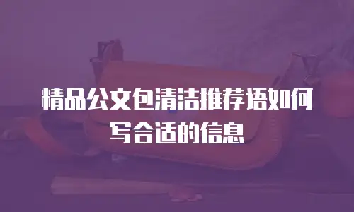 精品公文包清洁推荐语如何写合适的信息
