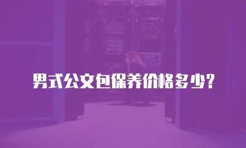 男式公文包保养价格多少？