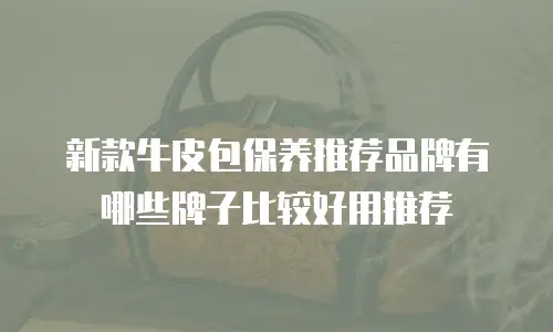 新款牛皮包保养推荐品牌有哪些牌子比较好用推荐