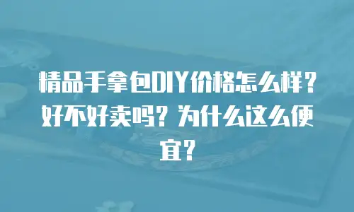 精品手拿包DIY价格怎么样？好不好卖吗？为什么这么便宜？