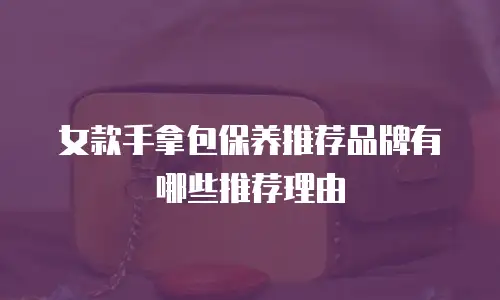 女款手拿包保养推荐品牌有哪些推荐理由