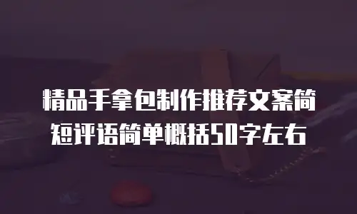 精品手拿包制作推荐文案简短评语简单概括50字左右