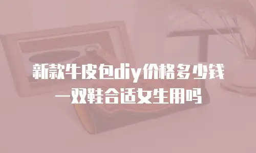 新款牛皮包diy价格多少钱一双鞋合适女生用吗