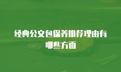 经典公文包保养推荐理由有哪些方面